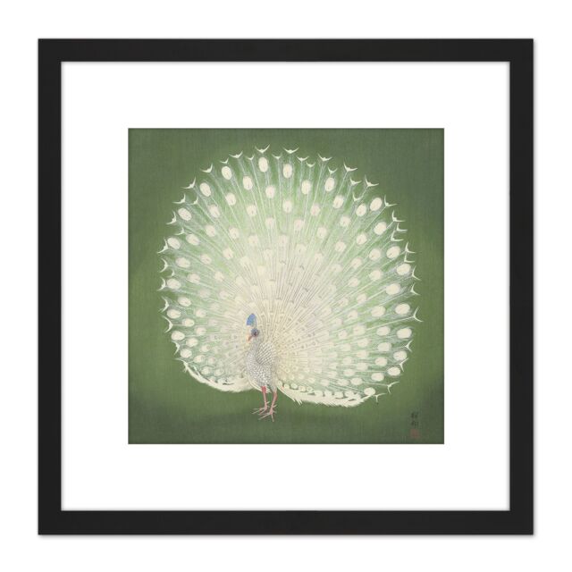 Artery8 Ohara Koson Peacock Japan Painting 8X8 Inch Square Wooden Framed Wall Art Print Picture with Mount in Black - image 1