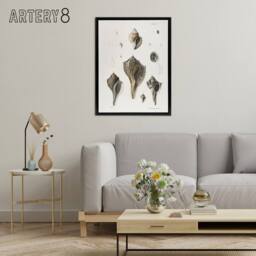 "Artery8 James De Kay Types of Seashells Pencil Drawing Framed Canvas Art Print in White - Size: W12"" x H16""" - thumbnail 3