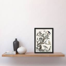 "Artery8 Birds Eagle Hawk Owl on Tree Vintage Nature Framed Wall Art Print in White - Size: W12"" x H16""" - thumbnail 4