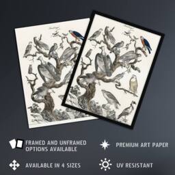 "Artery8 Birds Eagle Hawk Owl on Tree Vintage Nature Framed Wall Art Print in White - Size: W12"" x H16""" - thumbnail 2
