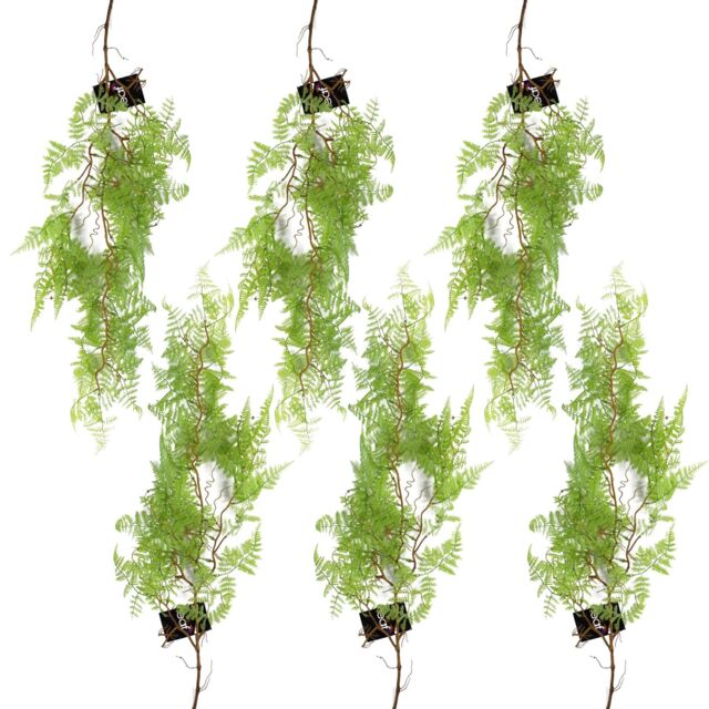 Leaf 6 x 100cm Artificial Hanging Maidenhair Fern Plant Light Green - Size: 6 x 100 cm - image 1