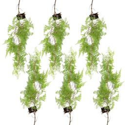 Leaf 6 x 100cm Artificial Hanging Maidenhair Fern Plant Light Green - Size: 6 x 100 cm - thumbnail 1