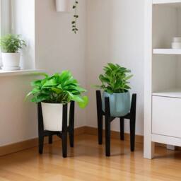 Kelvenix Black Adjustable Wooden Plant Stand Plant & Flower Pot - thumbnail 5