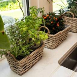 Madison & Mayfair Set of Three Wicker Baskets with Liners & Handles in Brown