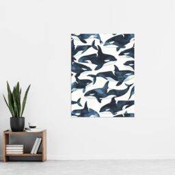 "Artery8 Orca Killer Whale Bright Watercolour Pattern Wall Art Print in Black - Size: W12"" x H16""" - thumbnail 4