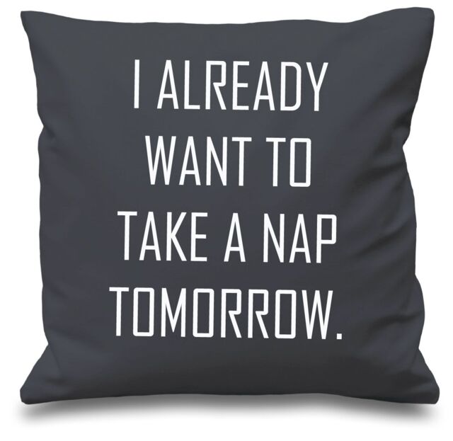 "60 SECOND MAKEOVER Grey Cushion Cover I Already Want To Take A Nap Tomorrow 16"" x 16"" Daughter Friend Gift Decorative Cushion Home Horse E"