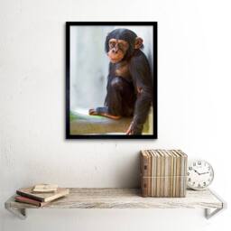 "Artery8 Monkey Baby Chimp Chimpanzee Home Decor 12x16"" Framed Wall Art in Brown - Size: W12"" x H16""" - thumbnail 2