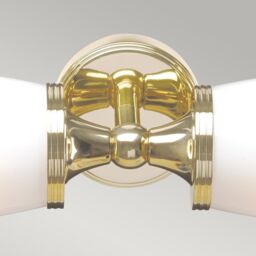 Netlighting Eliot 2 Light Bathroom Twin Wall Light Polished Brass IP44 G9 in Yellow - thumbnail 2