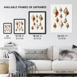 "Artery8 Northern Sea Molluscs Species Albert I Wall Art Poster Print in White - Size: W12"" x H16""" - thumbnail 3