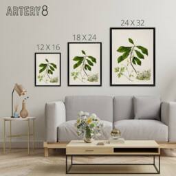 "Artery8 Caltha New Zealand Marsh Marigold Plant Featon Framed Canvas Wall Art - Size: W12"" x H16""" - thumbnail 4