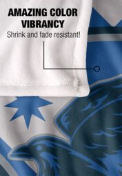 Warner Brothers Harry Potter Ravenclaw Plaid Sigil Blanket 152 x 127 cm in White - thumbnail 4