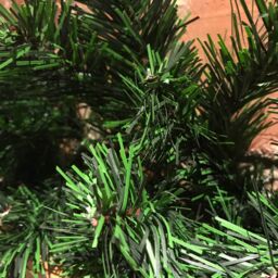 Samuel Alexander 270cm (9ft) Plain Green Colorado Christmas Garland - thumbnail 5