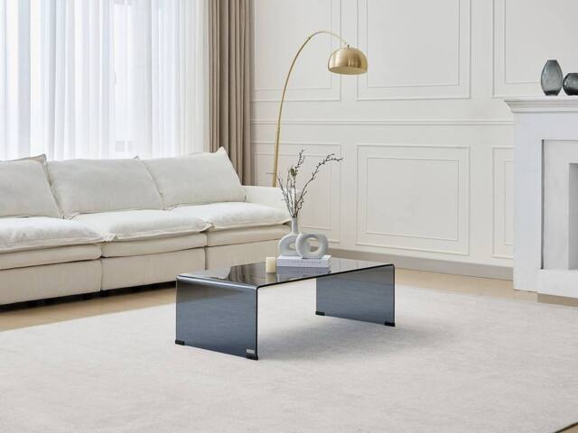 Vente-unique Curved Smoked Tempered Glass Coffee Table - Black - ALONZO in Clear - image 1