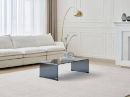 Vente-unique Curved Smoked Tempered Glass Coffee Table - Black - ALONZO in Clear - thumbnail 1