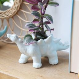 Lisa Angel Women's Stegosaurus Dinosaur Planter in White in Light Blue - Size: Small