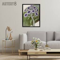"Artery8 New Zealand Antarctic Daisy Flowers Featon Framed Canvas Wall Art in Beige - Size: W12"" x H16""" - thumbnail 3