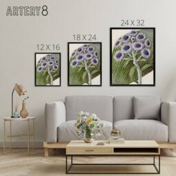 "Artery8 New Zealand Antarctic Daisy Flowers Featon Framed Canvas Wall Art in Beige - Size: W12"" x H16""" - thumbnail 4