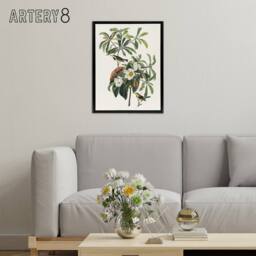 "Artery8 Bachman's Warbler & Franklinia Tree Audubon Framed Canvas Wall Art in White - Size: W12"" x H16""" - thumbnail 3