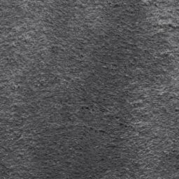 Berkfield Home Rug Short Pile Soft & Washable Anthracite 60x110 cm in Dark Grey - Size: 100 cm diameter - thumbnail 9