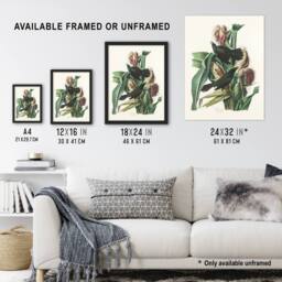 "Artery8 Purple Grackle Crow Blackbird Audubon Nature Wall Art Print Poster in White - Size: W18"" x H24""" - thumbnail 3