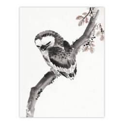 "Artery8 Owl 1841 Album Of Sketches Japanese Wall Art Print Hokusai in Grey - Size: W12"" x H16""" - thumbnail 1