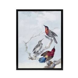 "Artery8 Three Crimson Sunbirds Watercolour Schouman Framed Canvas Wall Art in Blue - Size: W12"" x H16""" - thumbnail 1