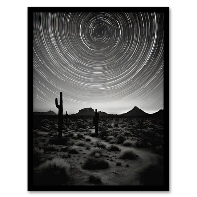 Artery8 The Milky Way Time Lapse Star Trails Stars Tracing Their Journey Across Black White Cactus Art Print Framed Poster Wall Decor - image 1