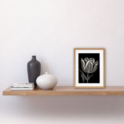 "Artery8 Wall Art Print Tulip Flower White on Black Blind Contour Folk Artwork Framed 9X7 Inch in Beige - Size: W7"" x H9""" - thumbnail 2
