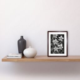 "Artery8 Wall Art Print White on Black Blooming Orchid Flower Plants Artwork Framed 9X7 Inch in Brown - Size: W7"" x H9""" - thumbnail 2