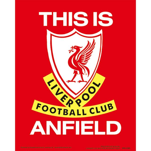 Liverpool FC Anfield Stadium 3D Print in Red - image 1