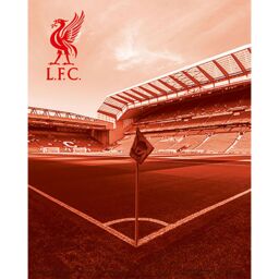 Liverpool FC Anfield Stadium 3D Print in Red - thumbnail 2