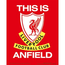 Liverpool FC Anfield Stadium 3D Print in Red - thumbnail 1