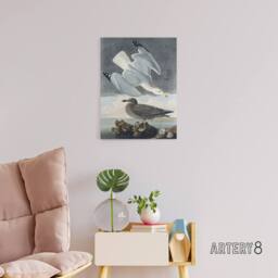 "Artery8 Birds of America Herring Gull Audubon Nature Canvas Wall Art in Grey - Size: W18"" x H24""" - thumbnail 3