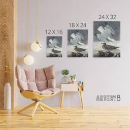 "Artery8 Birds of America Herring Gull Audubon Nature Canvas Wall Art in Grey - Size: W18"" x H24""" - thumbnail 4