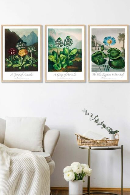 ARTZE Vintage Auricula & Lily Flowers Floral Framed Wall Art - Medium in Light Oak - Size: W45 cm x H62 cm x D20mm - image 1