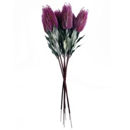 Leaf 75cm Banksia Menziesii Pink Flower Stem Artificial - thumbnail 6