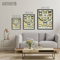 "Artery8 Millot Encyclopedia Page Butterflies Moths Framed Canvas Wall Art Print - Size: W12"" x H16""" - thumbnail 4