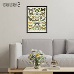 "Artery8 Millot Encyclopedia Page Butterflies Moths Framed Canvas Wall Art Print - Size: W12"" x H16""" - thumbnail 3