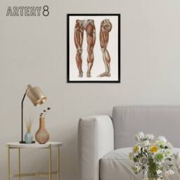 "Artery8 Leg & Feet Muscle Anatomy Bock Vintage Black Framed Canvas Wall Art in White - Size: W12"" x H16""" - thumbnail 3