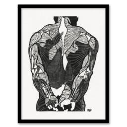 Artery8 Anatomical study of mans back muscles Stolk Framed Wall Art Print in White - Size: A4 - thumbnail 1
