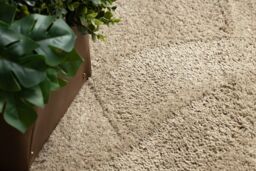 RugsX Micro Shaggy Rug in Beige - Size: 120 cm x 170 cm - thumbnail 5