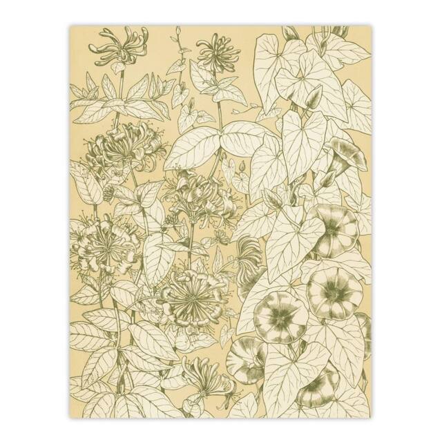 "Artery8 Leaves From Nature No 9 Botanical Jones Vintage Wall Art Print Poster in Beige - Size: W24"" x H32""" - image 1