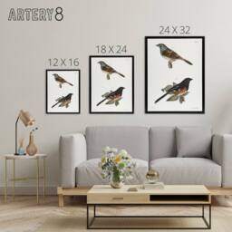 "Artery8 James Ellsworth De Kay Swamp Finch & Chewink Framed Canvas Art Print in White - Size: W12"" x H16""" - thumbnail 4