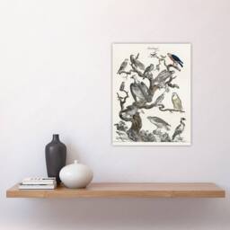 "Artery8 Birds Eagle Hawk Owl on Tree Vintage Nature Wall Art Print Poster in White - Size: W12"" x H16""" - thumbnail 4