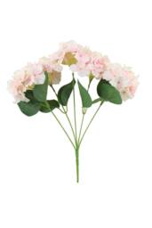 KDMD Pink Arundel Hydrangea Bush 2 Pack - thumbnail 5