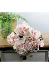 KDMD Pink Arundel Hydrangea Bush 2 Pack - thumbnail 6