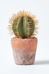 Homescapes Small Round Artificial Cactus in Terracotta Pot, 15cm Tall in Orange