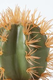 Homescapes Small Round Artificial Cactus in Terracotta Pot, 15cm Tall in Orange - thumbnail 5