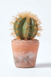 Homescapes Small Round Artificial Cactus in Terracotta Pot, 15cm Tall in Orange - thumbnail 6
