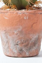 Homescapes Small Round Artificial Cactus in Terracotta Pot, 15cm Tall in Orange - thumbnail 4